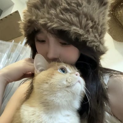高台家的成员